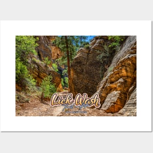 Lick Wash Trail Hike Posters and Art